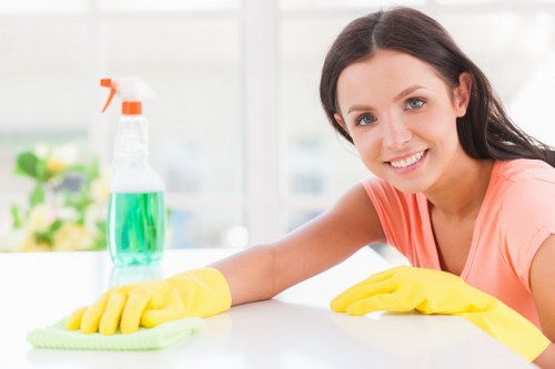 Regular cleaning for a modern E14 apartment interior