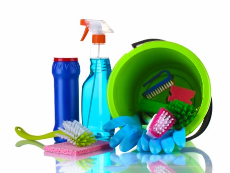 Professional pet stain and odour cleaning in an E14 flat
