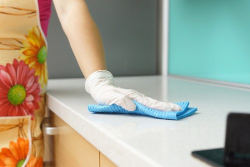 Professional gutter cleaning for E14 homes and buildings