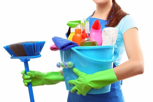 Cleaning service terms introduction with booking and legal conditions