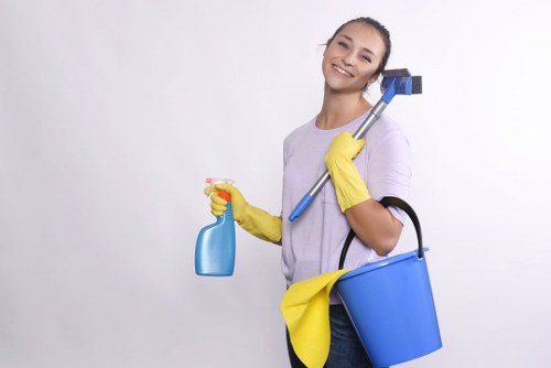 WCAG 2.1 AA accessibility commitment for Cleaners E14