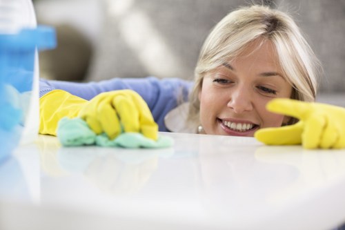 Local cleaner working in an E14 residential flat