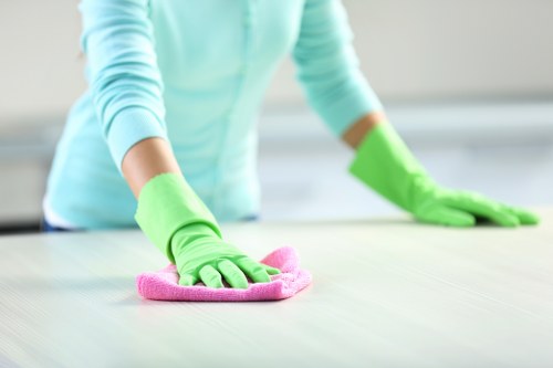 Detailed cleaning service in a bright E14 home