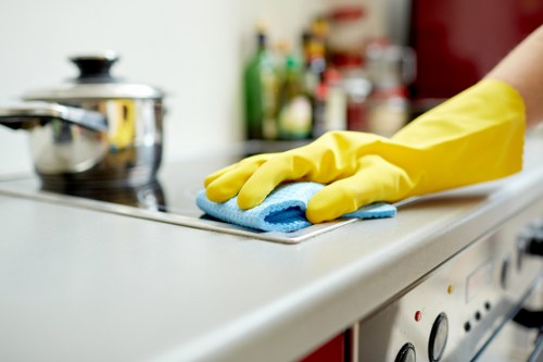 Step-by-step gutter cleaning service for Docklands properties