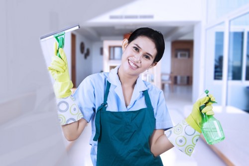 Reliable window cleaning for homes and businesses across E14